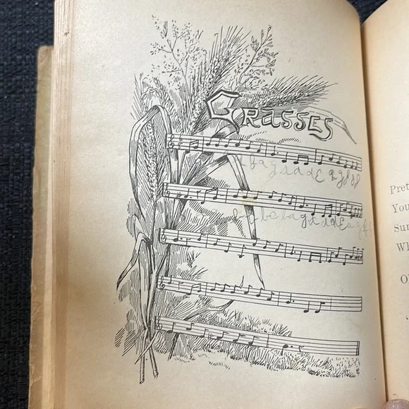 First Edition (1898) “Plant Babies and Their Cradles”, Educational Pub. Co. - Picture 11 of 15